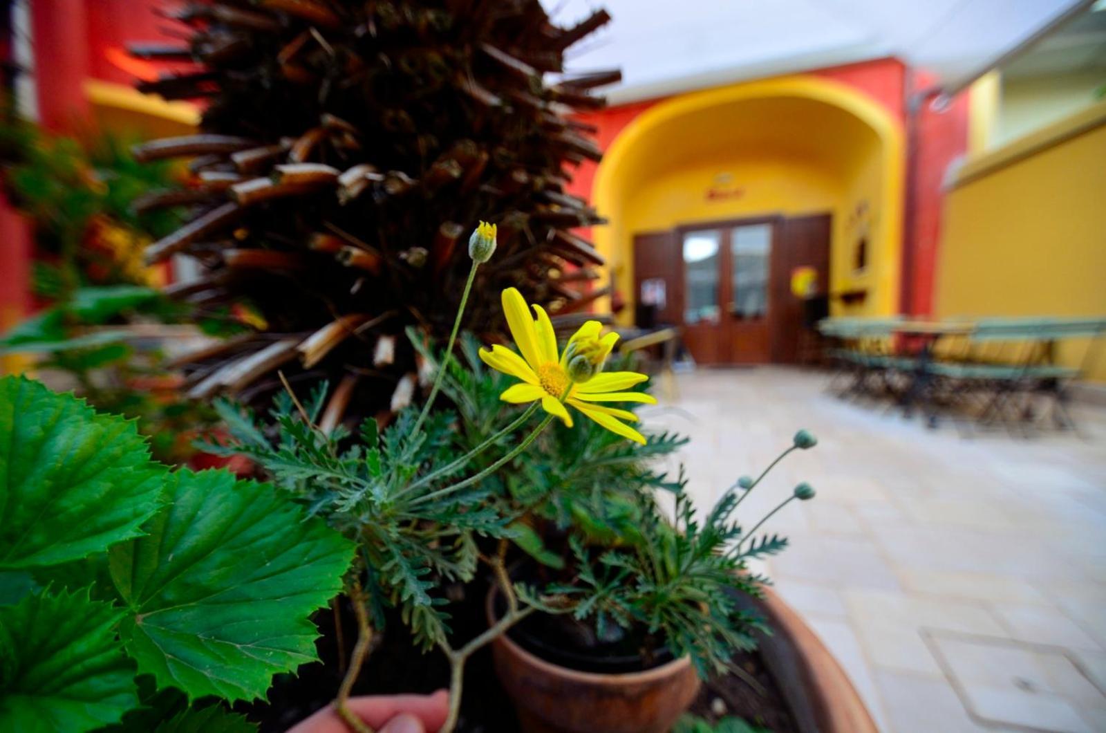 Manouche Osteria B&B San Leucio Ngoại thất bức ảnh