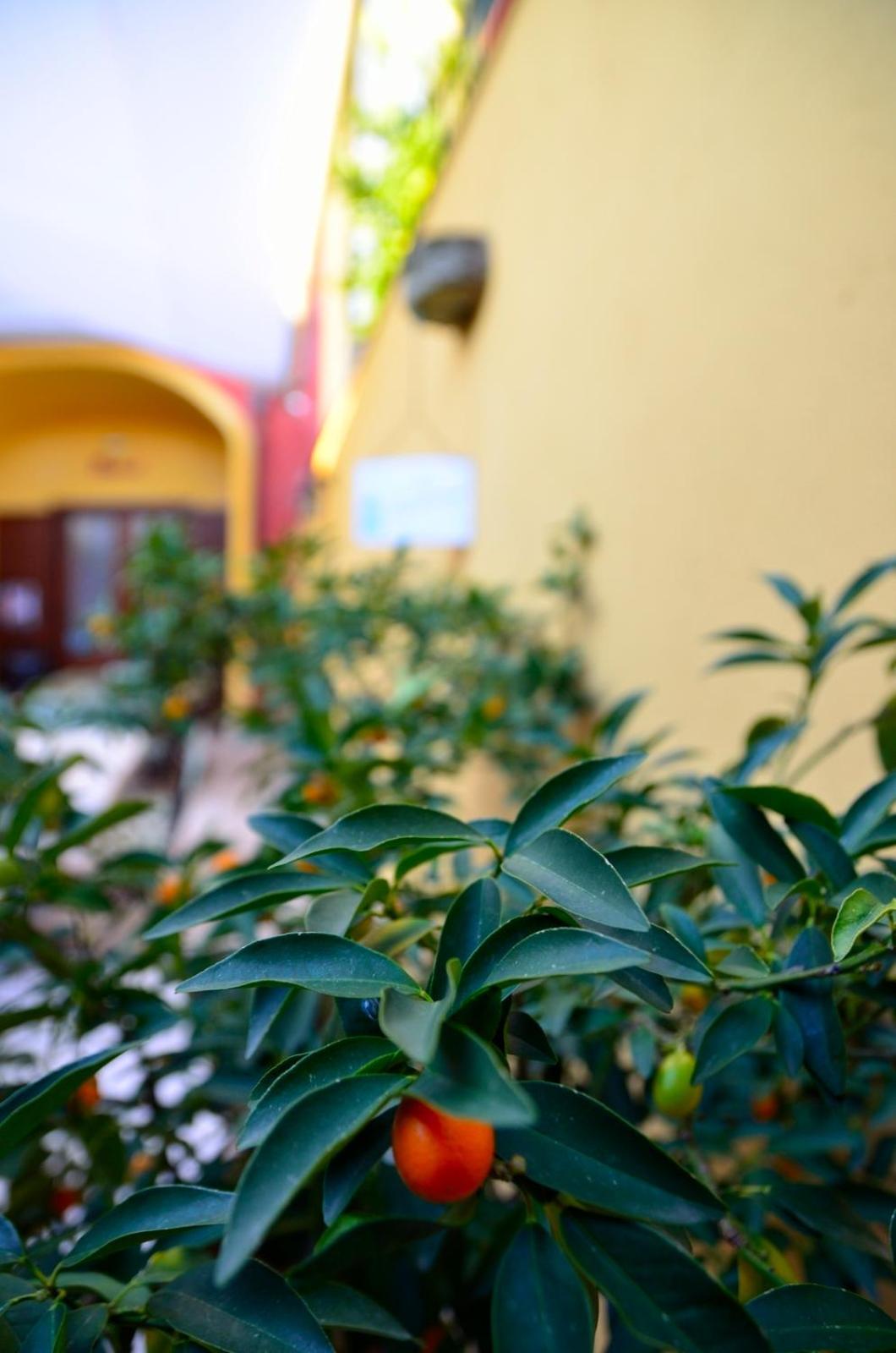 Manouche Osteria B&B San Leucio Ngoại thất bức ảnh